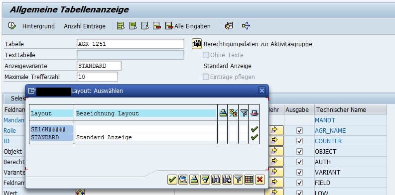 Bild 7: Anzeigevariante / Layout SE16N (Quelle SAP® ERP)