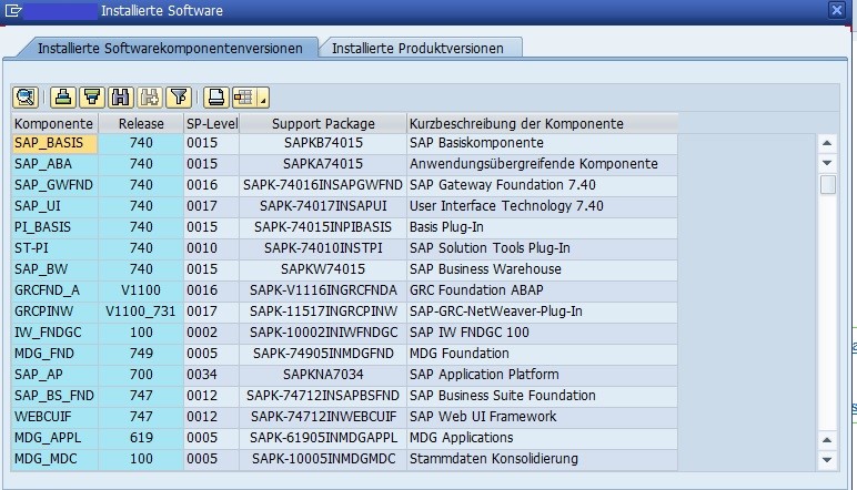 Softwarekomponenten (Quelle SAP® ERP)