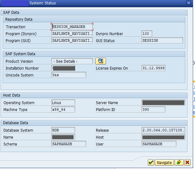 S_SYS_INFO mit DB+HOST+Kernel+System