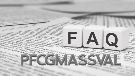 PFCGMASSVAL Massenpflege PFCGMASSVAL Massenpflege